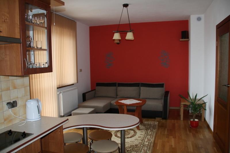 Apartamenty- Mieszkania Wakacyjne Czarna Góra Værelse billede