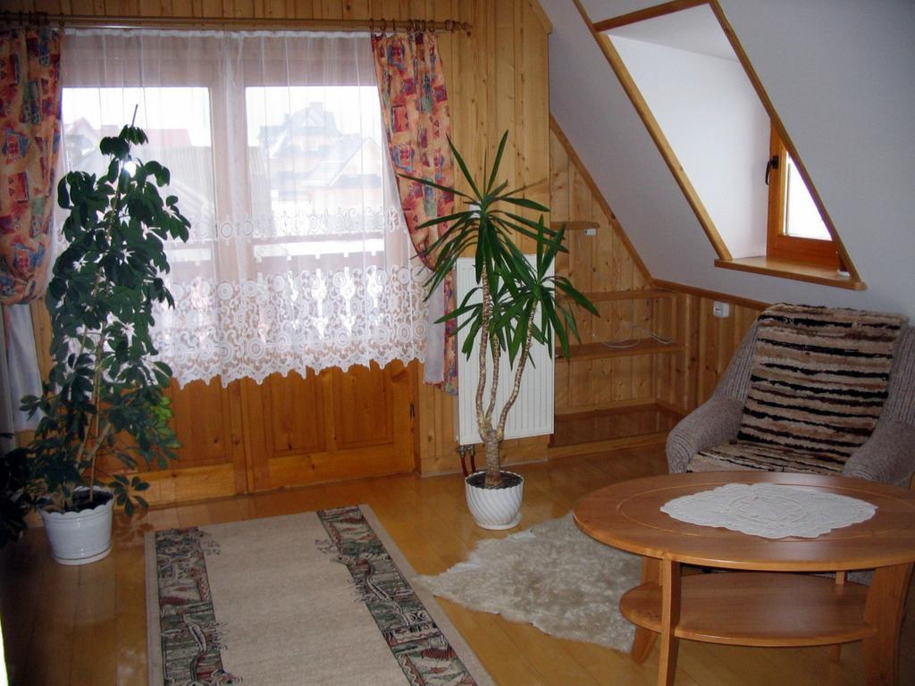 Apartamenty- Mieszkania Wakacyjne Czarna Góra Værelse billede